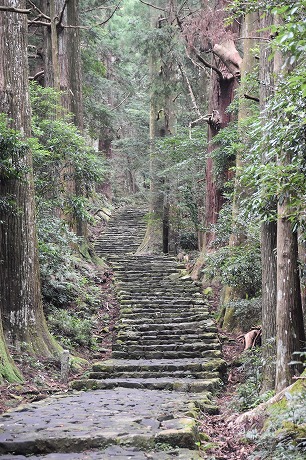 熊野古道の道