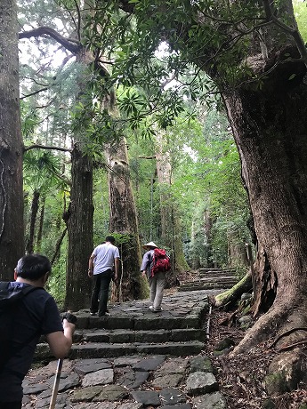 熊野古道の道